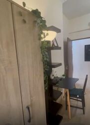 Dover Parkview (D5), Condominium #553537601